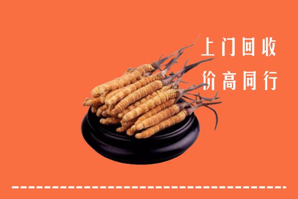 高价求购：遂平县回收散虫草