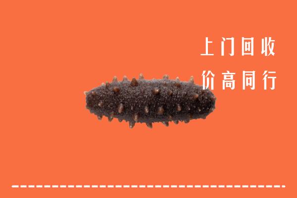 高价求购：遂平县回收海参