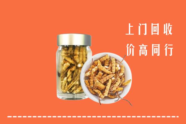 遂平县回收冬虫夏草